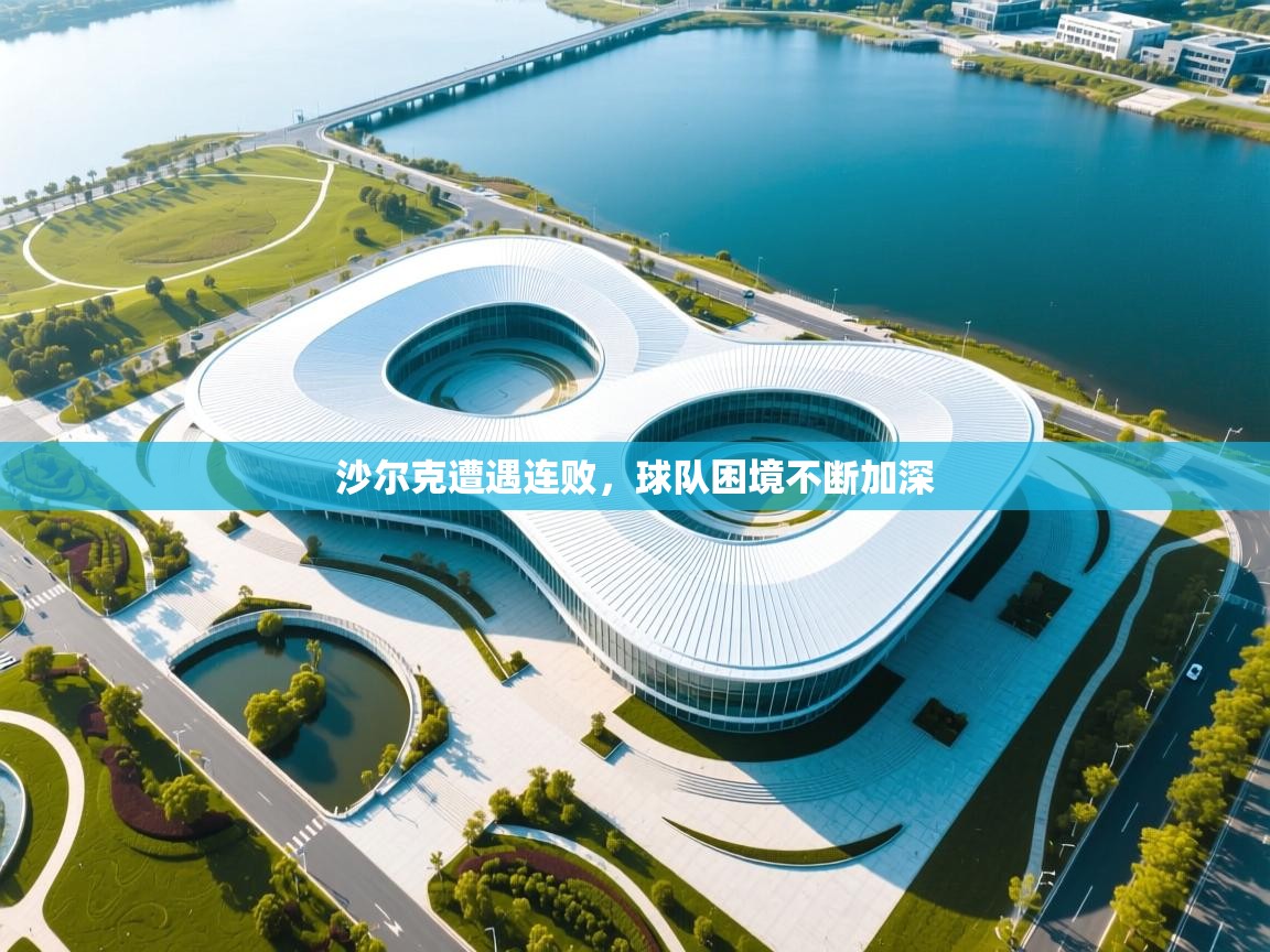 沙尔克遭遇连败，球队困境不断加深  第2张