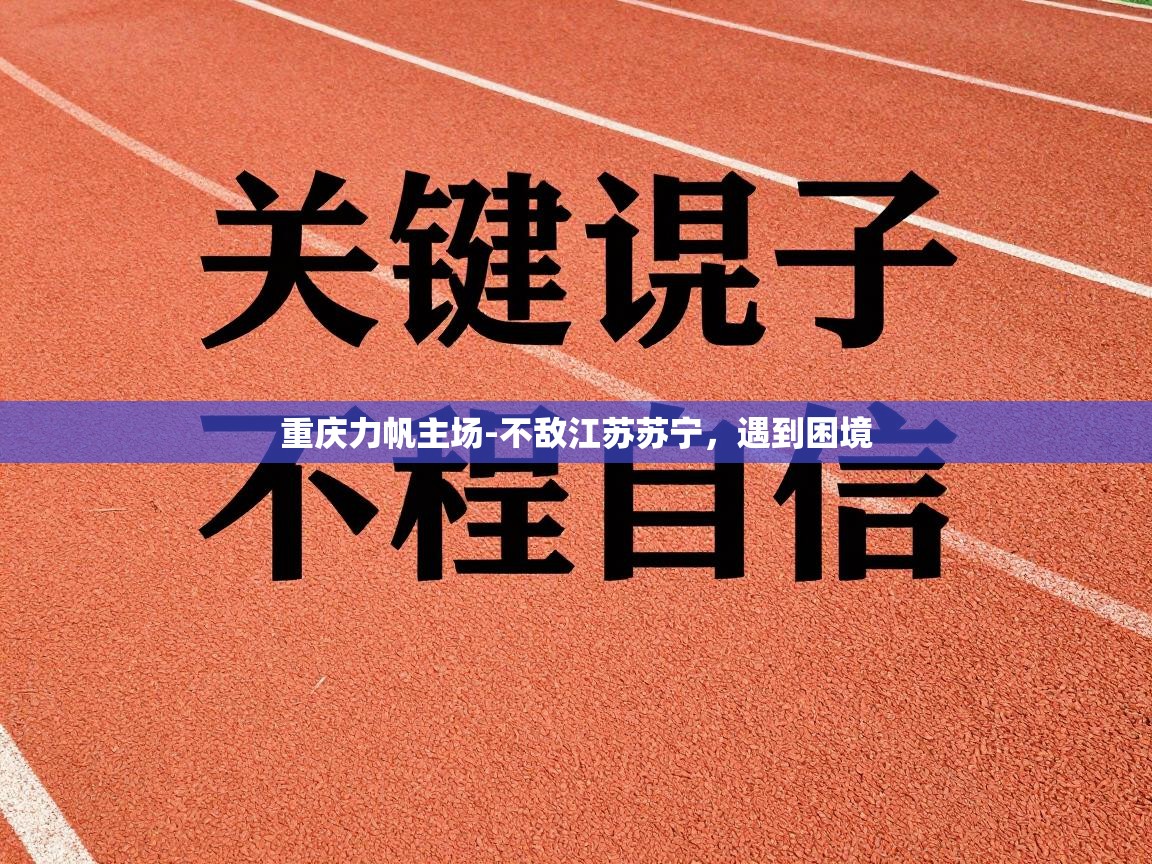 重庆力帆主场-不敌江苏苏宁，遇到困境  第1张